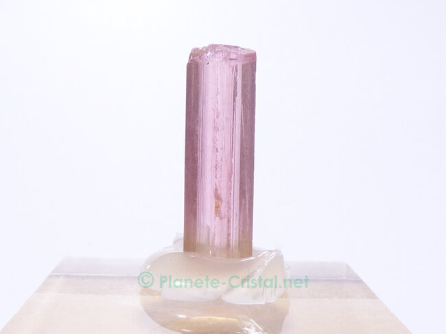 Tourmaline rose brute transparente de collection A