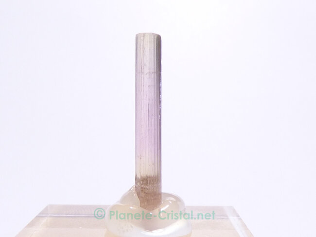 Tourmaline melon d eau pierre collection D