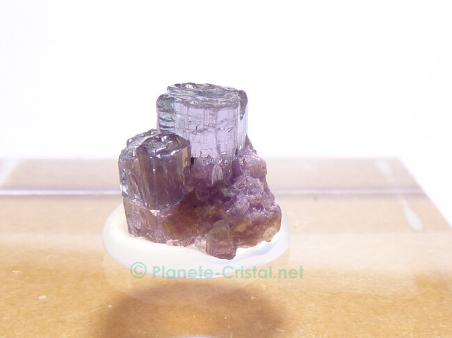 Petits cristaux tourmaline bicolore brute  G