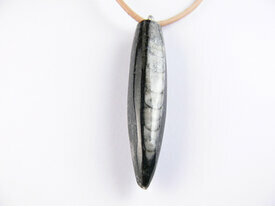 Grand pendentif fossile Orthoceras noir