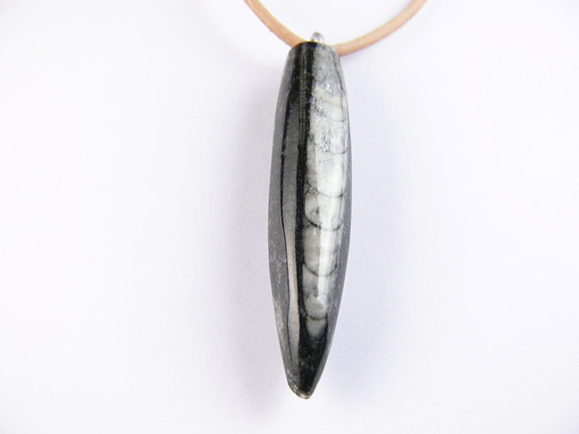 Pendentif fossile Orthoceras noir L