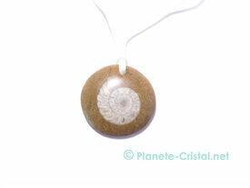 Pendentif fossile Ammonite rond