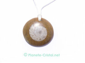 Pendentif fossile Ammonite