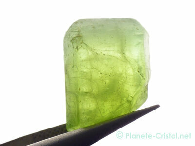 Grande transparence cristal gemme pridot brut natif