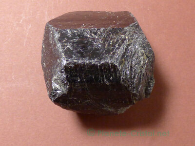 Lithothérapie 1 Cristal de Tourmaline noire brut de 20 à 35mm au choix Minéraux 