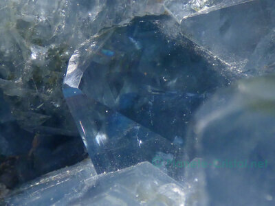 Zoom cristaux clestite druse exceptionnelle