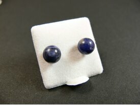 Puces d'oreilles bleues sodalite