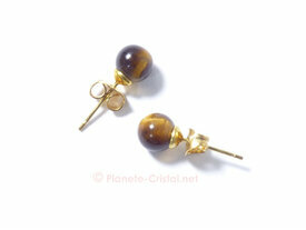 Paire de puces d'oreilles en oeil de tigre