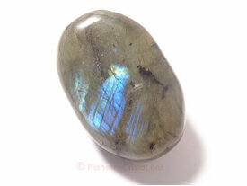 Labradorite roulée allongée