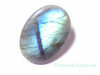 Labradorite pierre irise bleue et dor