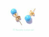 Puces d'oreille turquoise 06 mm