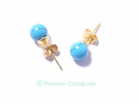 Puces d'oreilles turquoise