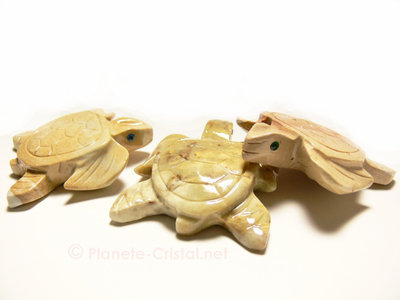 regroupent d'un banc de tortue en figurines authentiques 