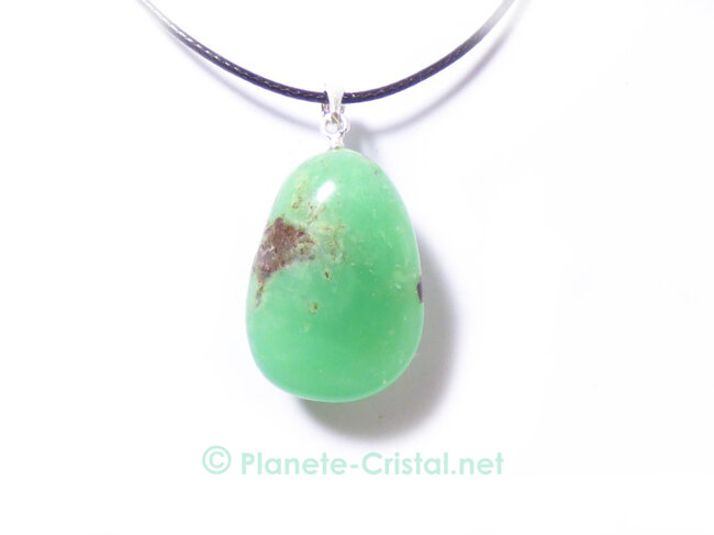 Pendentif signe du Capricorne
