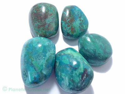 Chrysocolle Extra AA mini galets polis pierres naturelles rares