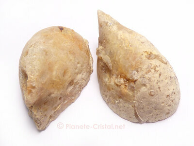 Jolies petites godes agate par paire vritable et rares