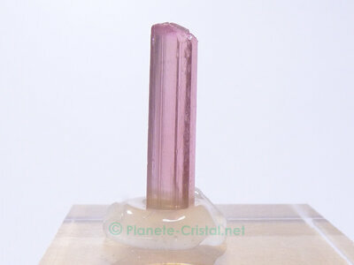 Tourmaline rose brute naturelle pour la collection de min�raux