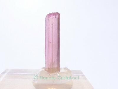 Tourmaline rose brute v�ritable � collectionner avec son support
