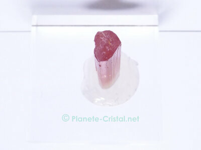 Pointe termin�e naturelle sur cette belle tourmaline rubellite