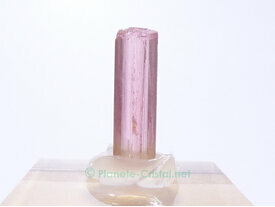 Tourmaline rose brute transparente de collection A