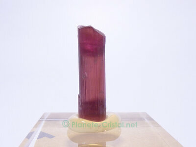Pierre rubellite tourmaline pierre collection