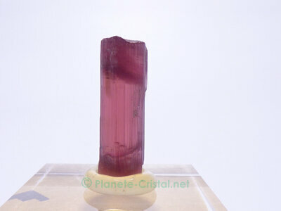 Rubellite naturelle rouge-pourpre rare collection