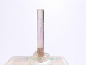 Tourmaline melon d eau pierre collection D