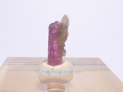 Tourmaline brute sur gangue naturelle en pointe prismatique