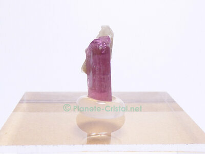 Rare collection tourmaline prismatique sur gangue de calcite blanche pour collection avanc�e