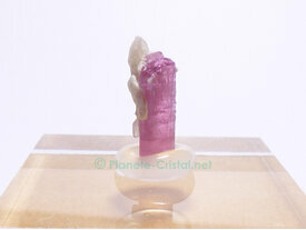 Tourmaline brute rose fuchsia collection E
