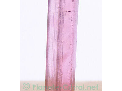 Magnifiques canaux roses en inclusions diagnostiques dites Pink Sleeves