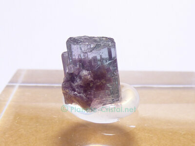 Agglom�rat de cristaux de tourmaline sur ce petit brut naturel