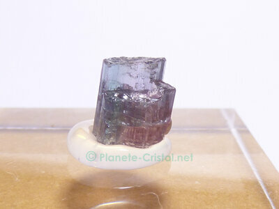 Joli petit sp�cimen pour commencer une collection de tourmaline