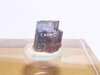 Joli petit sp�cimen pour commencer une collection de tourmaline