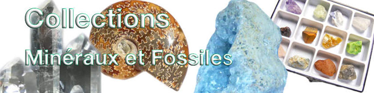 Les collections de cristaux, de fossiles, de minéraux rares pour collectionneurs