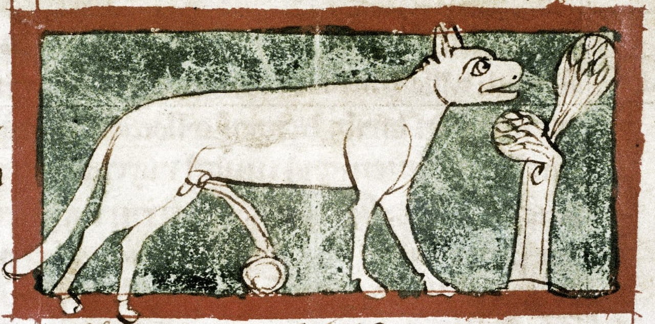 Iconographie du XIII&egrave;me si&egrave;cle montrant un Lynx uriner une pierre magique dite le Lynguriumor 