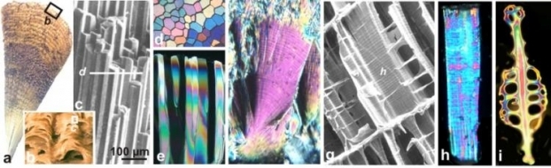 Photos en microscopie infrarouge de cristaux