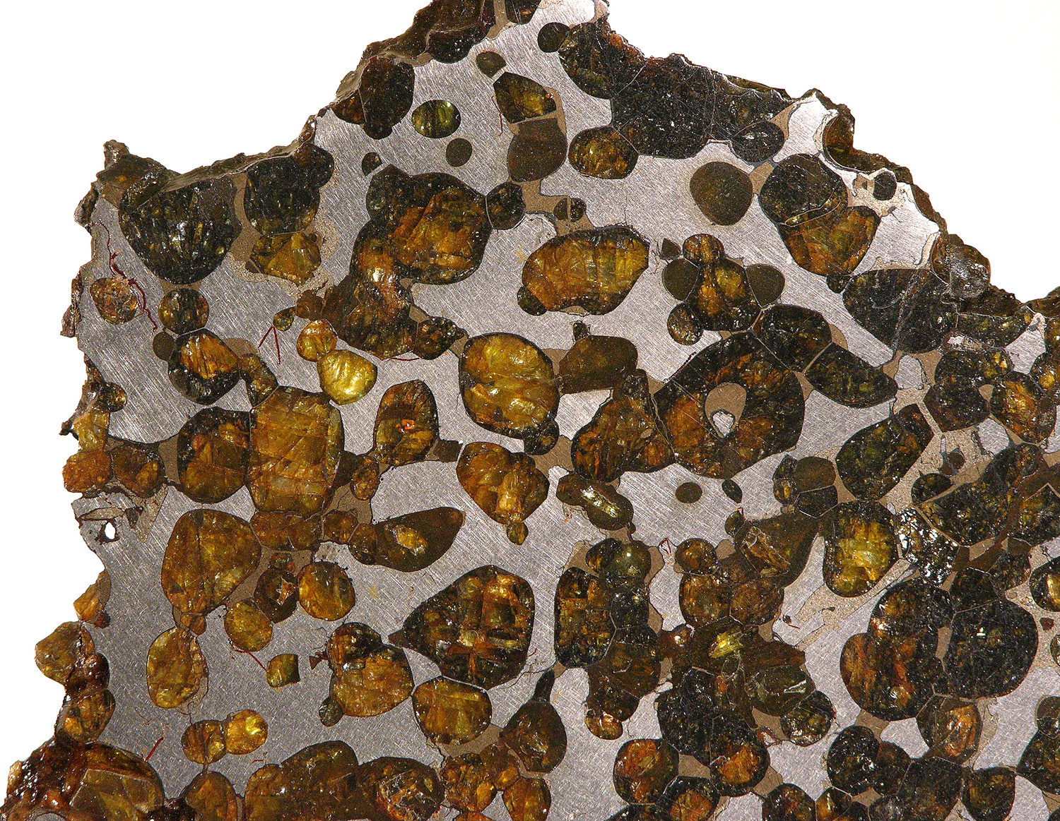 Pallasite de Brenham en coupe météorite