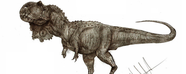 Représentation du dinosaure taille réelle